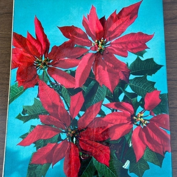 VINTAGE 1959 Ideals Christmas Book Magazine Holiday - Picture 3 of 3